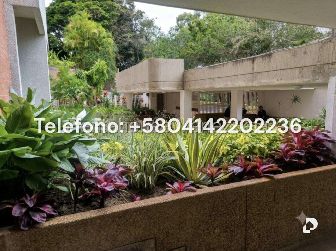 Apartamento en Los Naranjos (del Cafetal), Caracas – 33