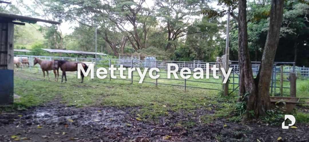 Finca en Las Mercedes Country, Tinaquillo – 4