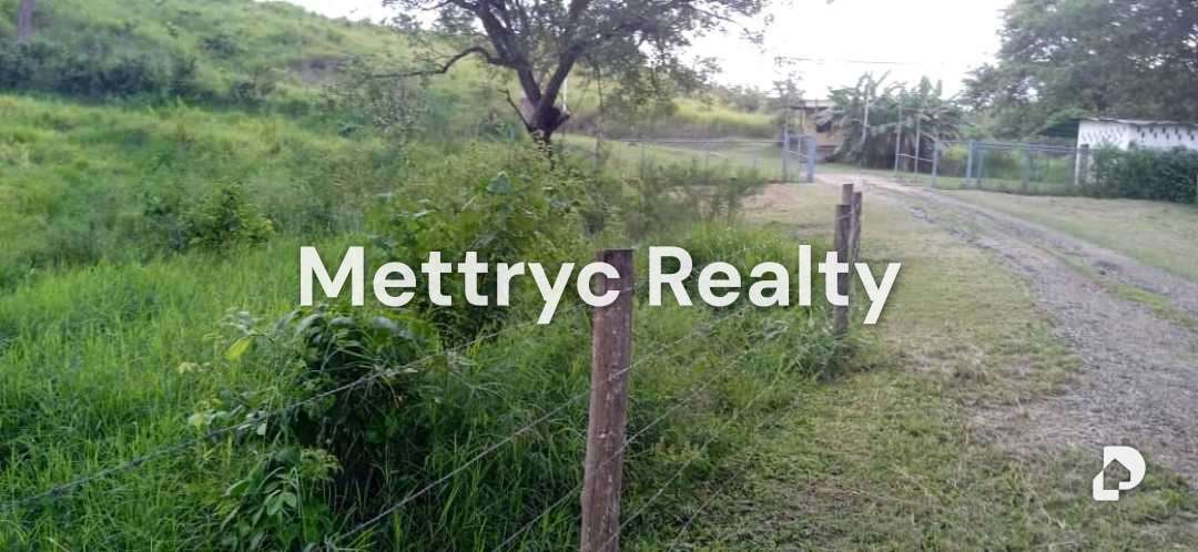 Finca en Las Mercedes Country, Tinaquillo – 13