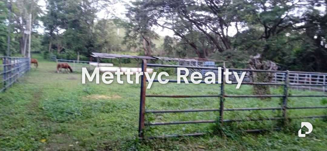 Finca en Las Mercedes Country, Tinaquillo – 8