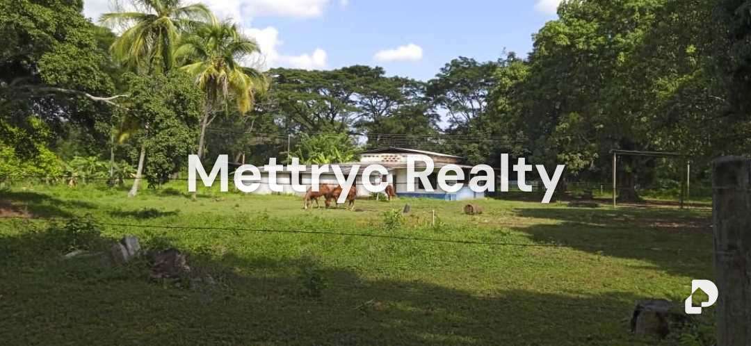 Finca en Las Mercedes Country, Tinaquillo – 1