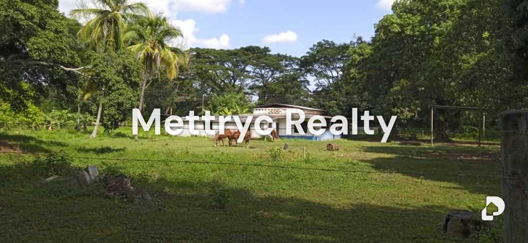 Finca en Las Mercedes Country, Tinaquillo – 1