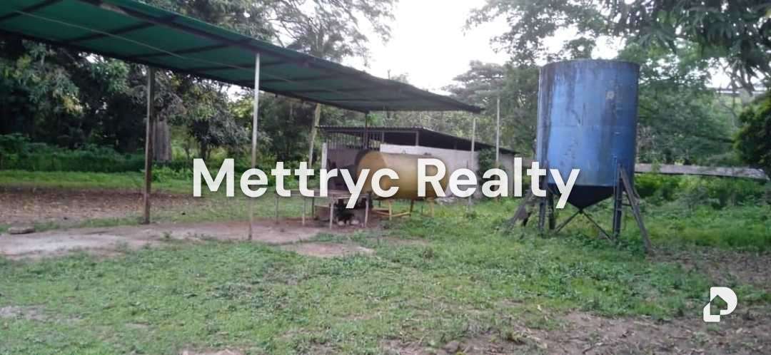 Finca en Las Mercedes Country, Tinaquillo – 9