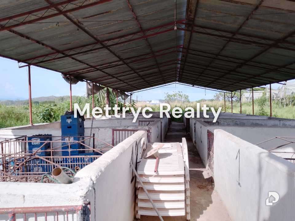 Finca en Las Mercedes Country, Tinaquillo – 27