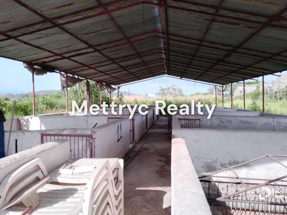 Finca en Las Mercedes Country, Tinaquillo – 24
