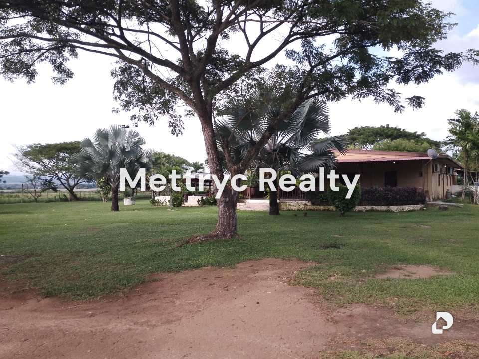 Finca en Las Mercedes Country, Tinaquillo – 2
