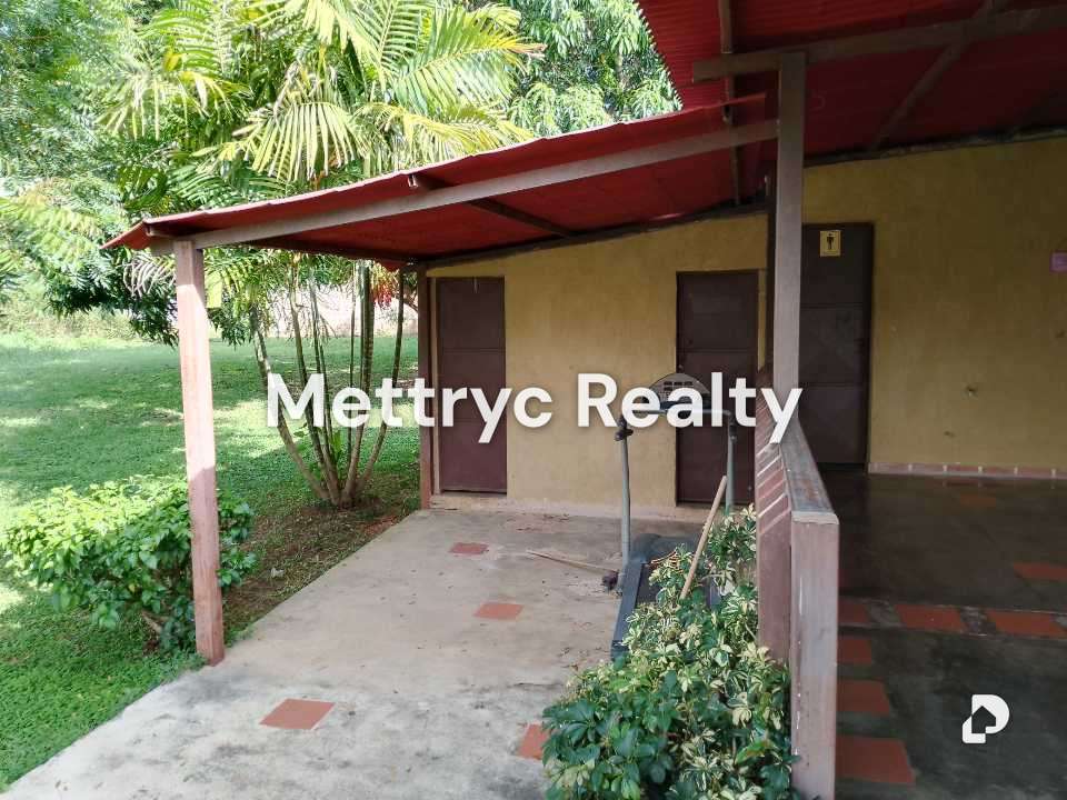 Finca en Las Mercedes Country, Tinaquillo – 23