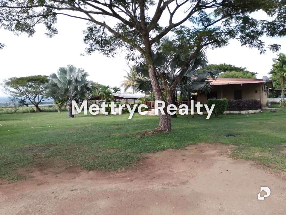 Finca en Las Mercedes Country, Tinaquillo – 29