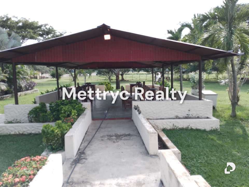 Finca en Las Mercedes Country, Tinaquillo – 10