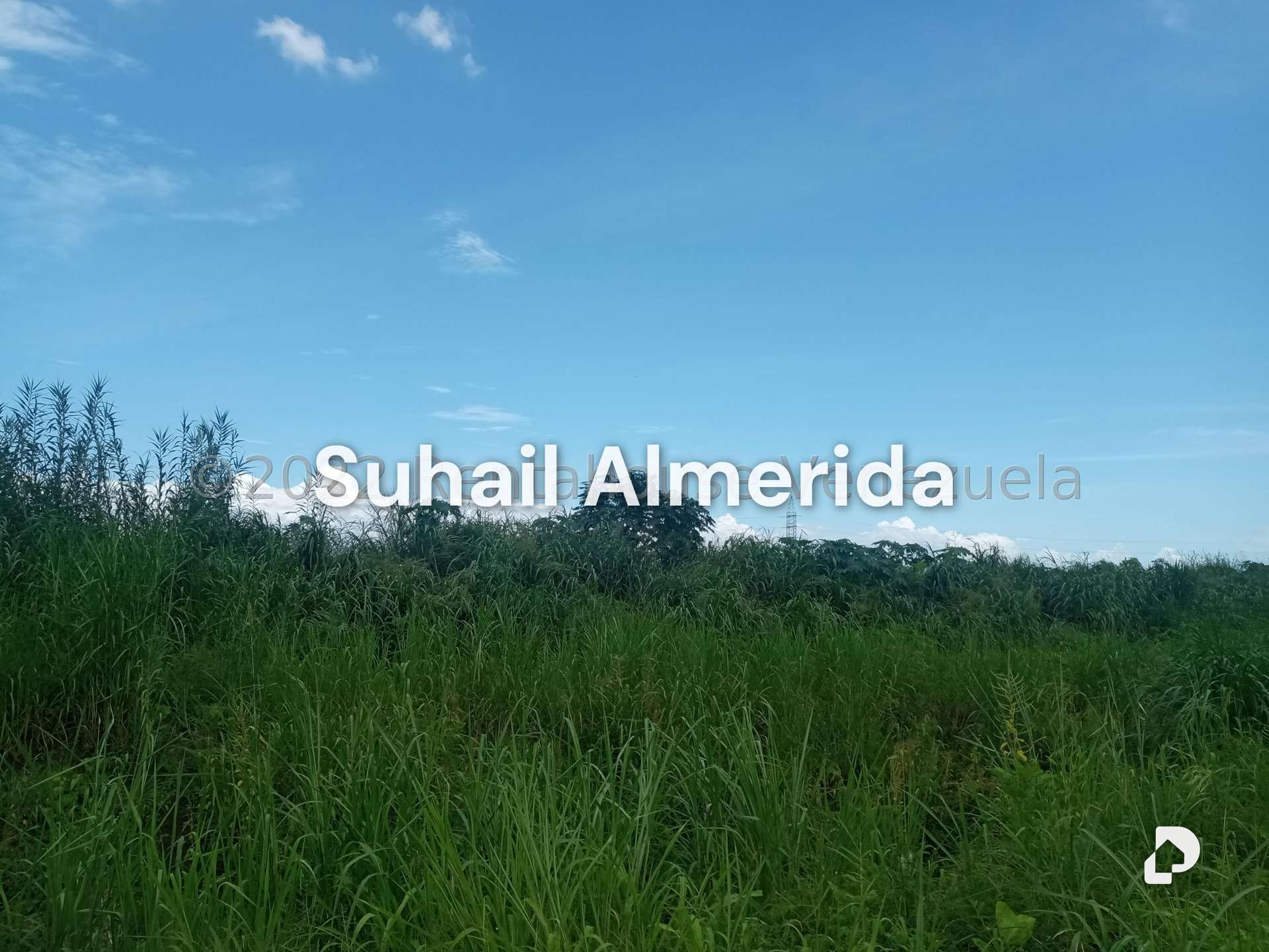 Terreno en Flor Amarillo, Valencia – 9
