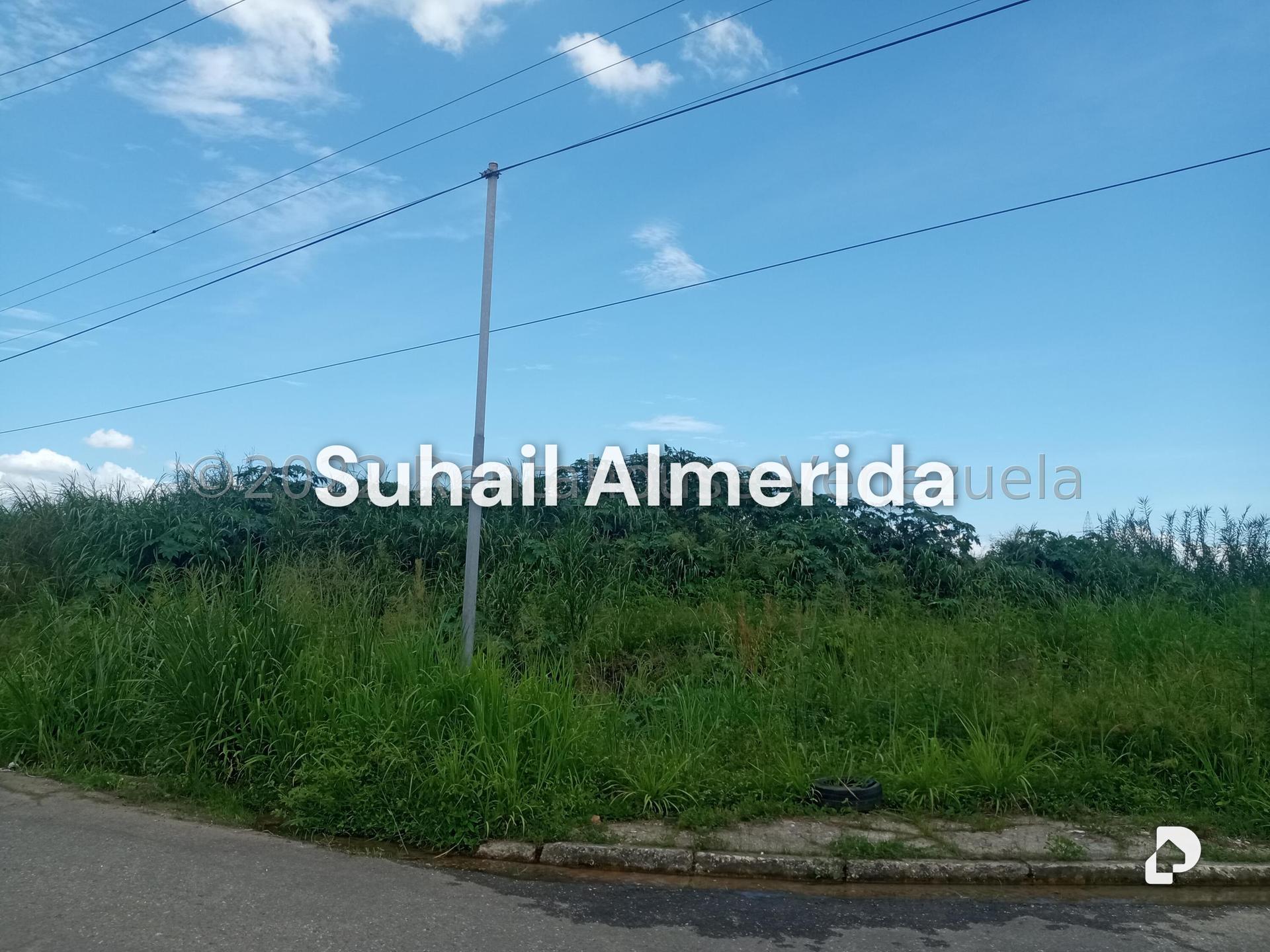 Terreno en Flor Amarillo, Valencia – 2