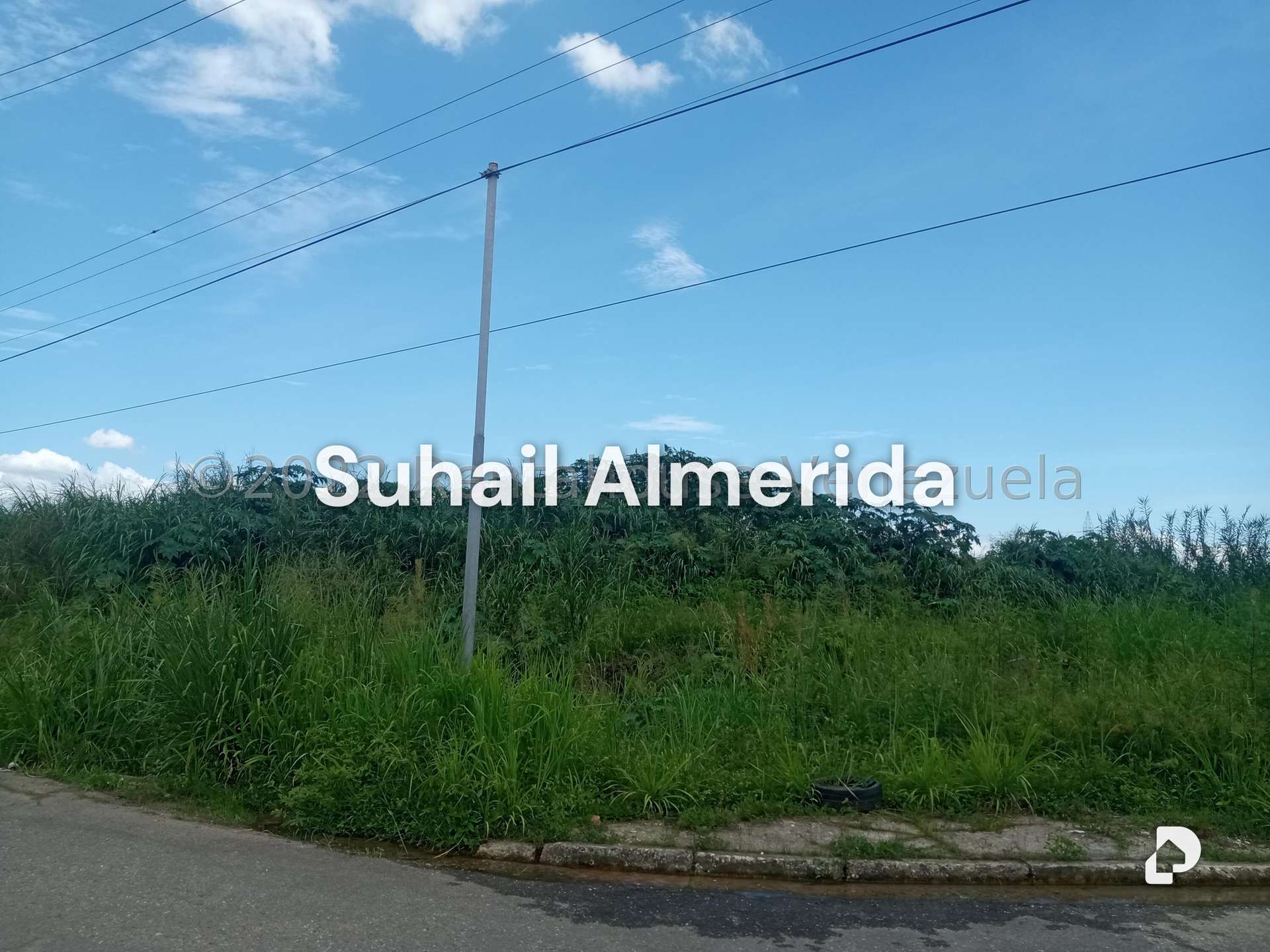 Terreno en Flor Amarillo, Valencia – 11