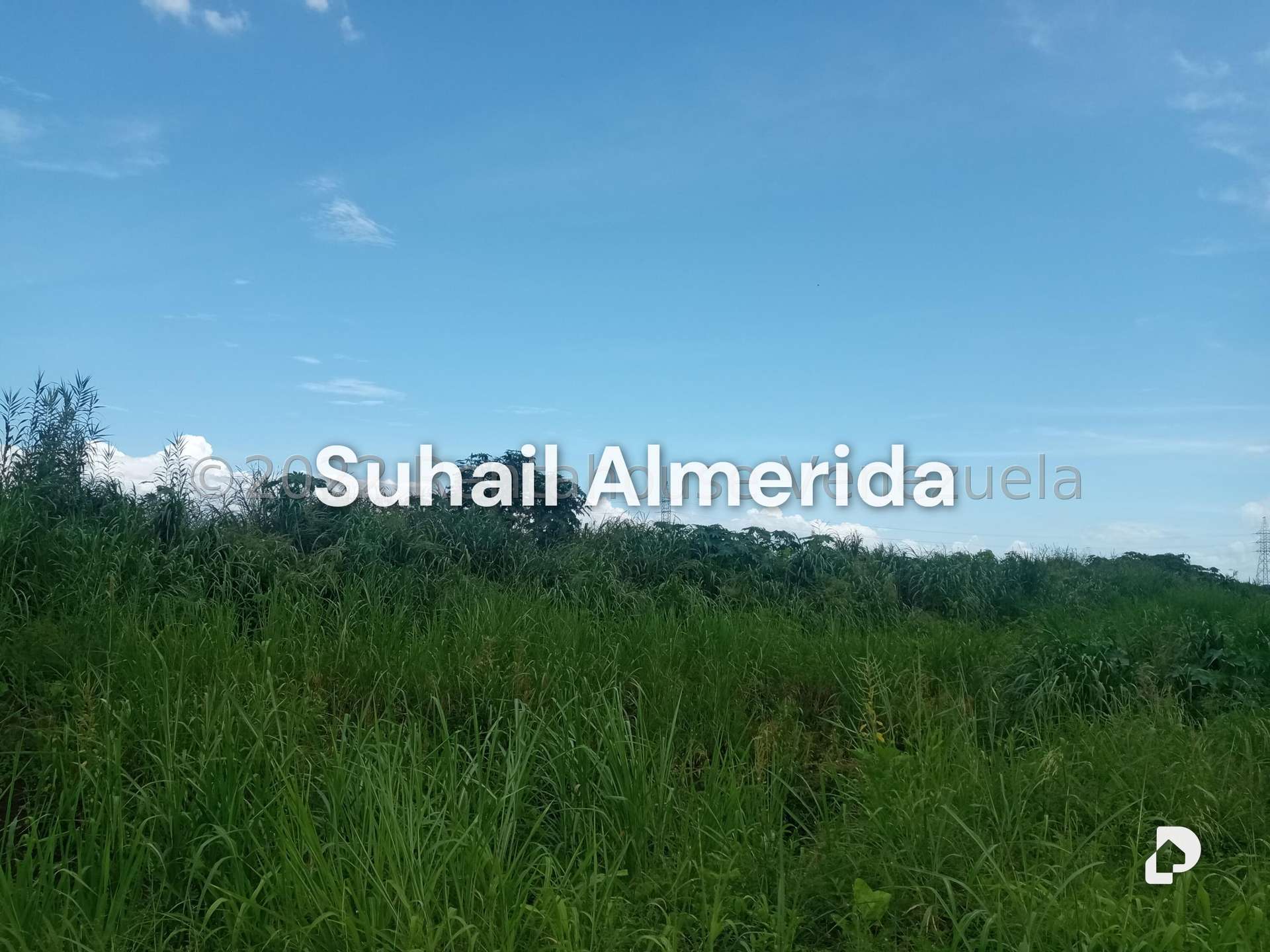 Terreno en Flor Amarillo, Valencia – 1