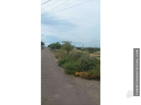 Terreno en Puerta Maraven, Punto Fijo – 5