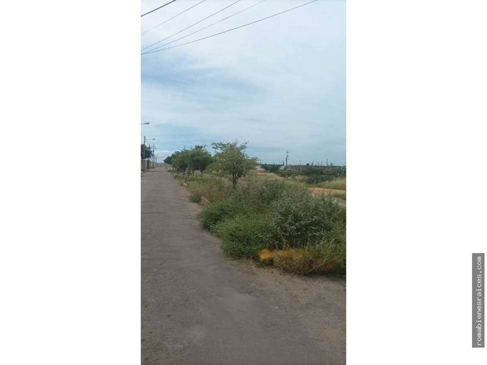Terreno en Punto Fijo - 1