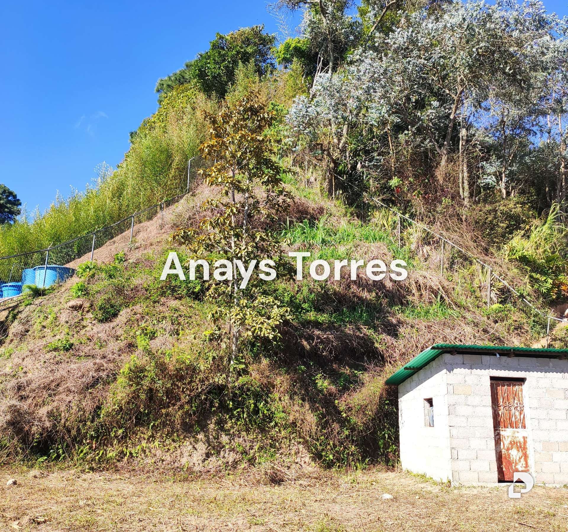 Terreno en Las Polonias, Altos Mirandinos – 9