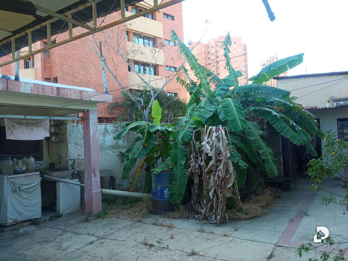 Local comercial en Avenida Cecilio Acosta, Maracaibo – 10