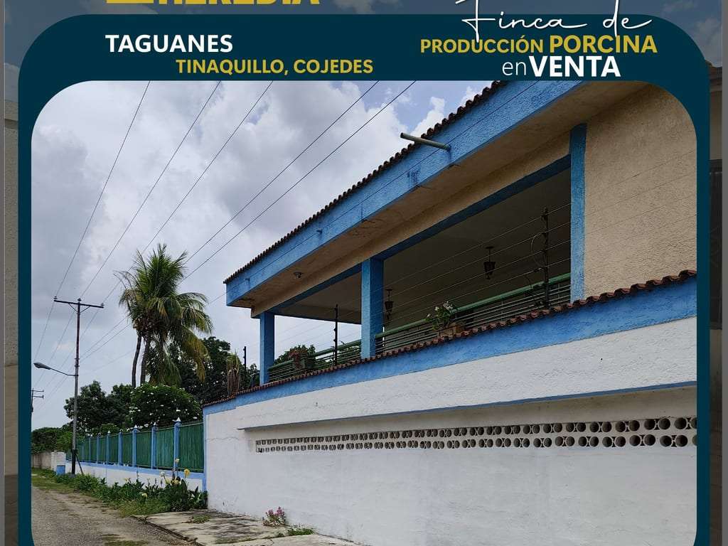 Finca en Taguanes, Tinaquillo - 1