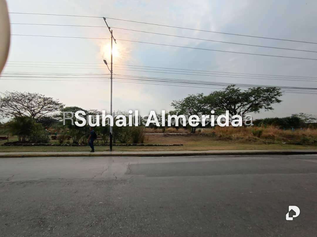 Terreno en Flor Amarillo, Valencia – 15