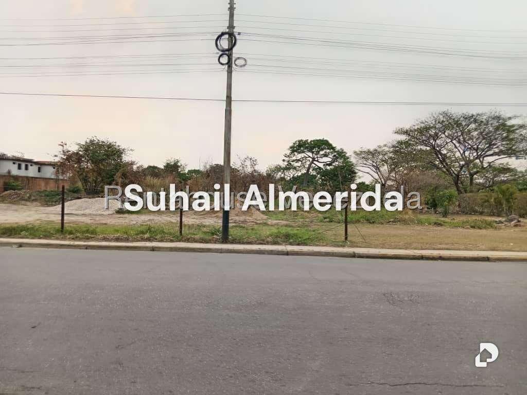 Terreno en Flor Amarillo, Valencia – 19