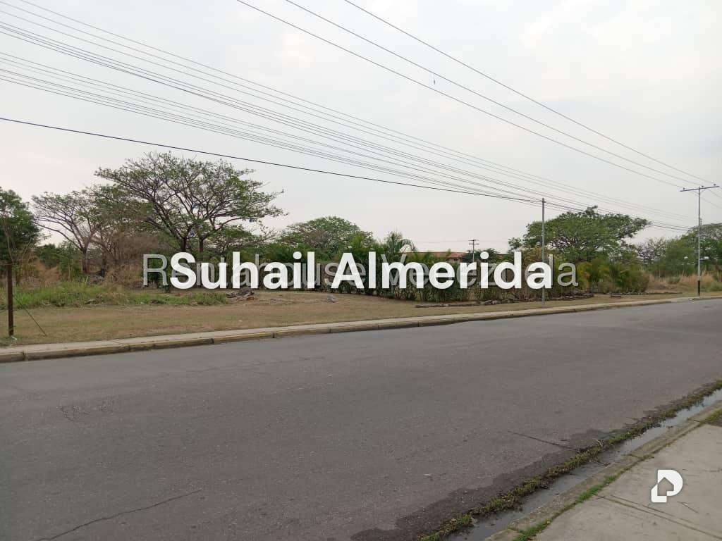 Terreno en Flor Amarillo, Valencia – 22