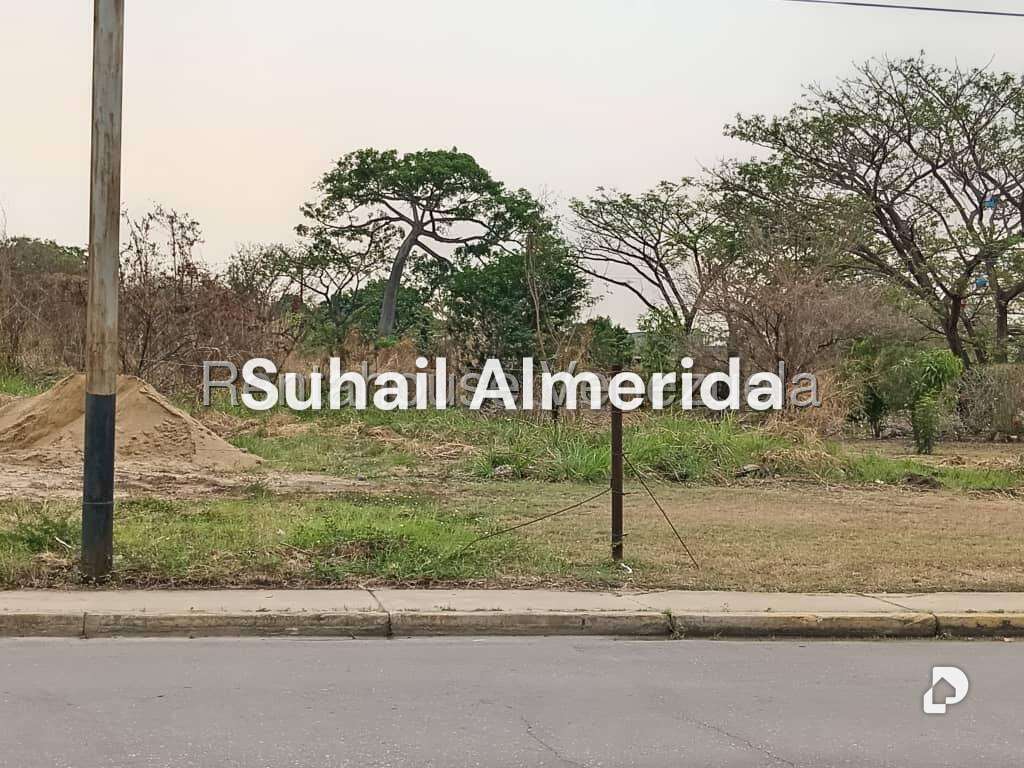 Terreno en Flor Amarillo, Valencia – 18