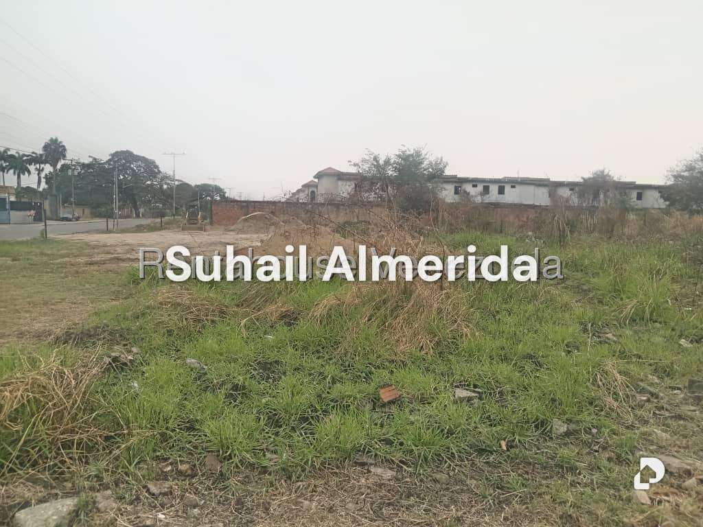 Terreno en Flor Amarillo, Valencia – 21