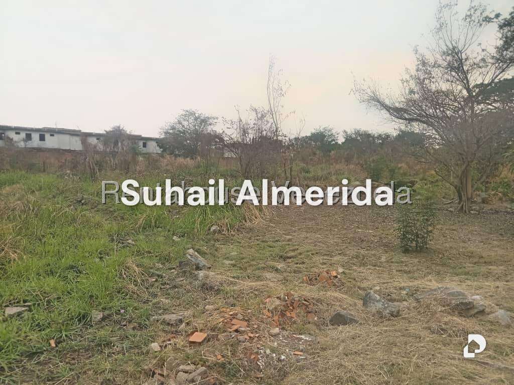 Terreno en Flor Amarillo, Valencia – 2