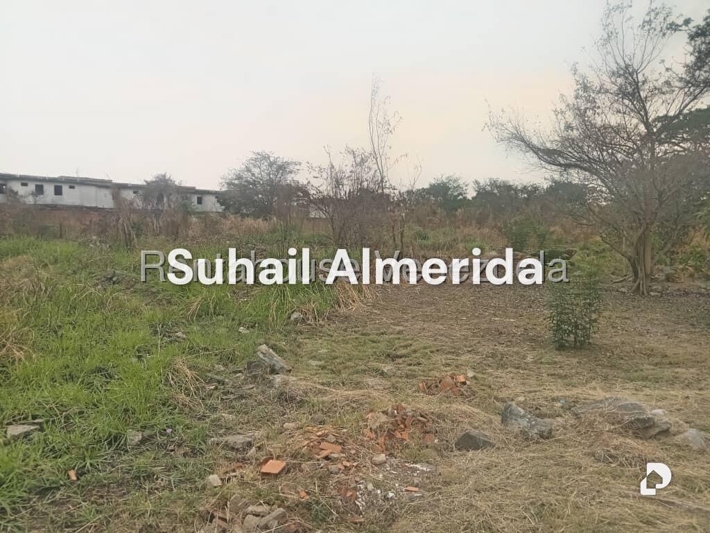 Terreno en Flor Amarillo, Valencia – 2
