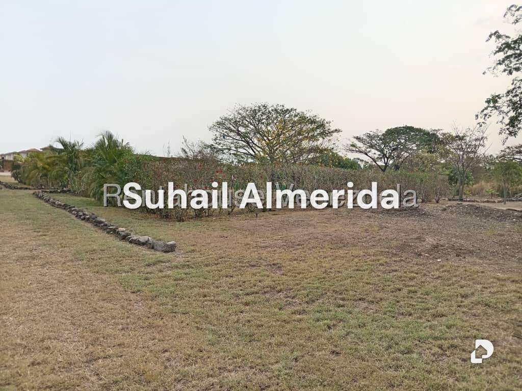Terreno en Flor Amarillo, Valencia – 11