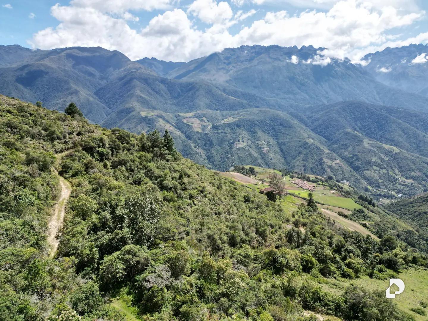 Finca en Cacute Alto, Cacute – 2