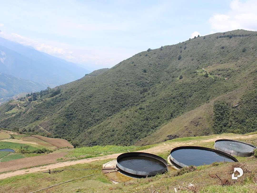 Finca en Cacute Alto, Cacute – 30