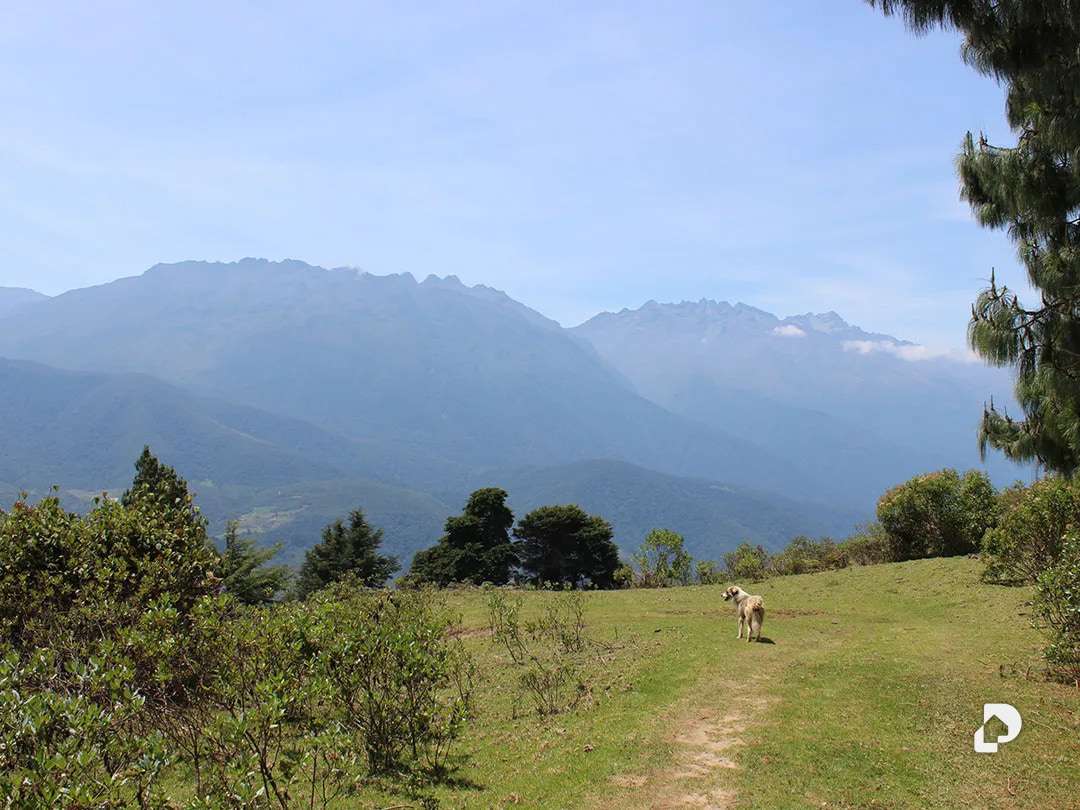 Finca en Cacute Alto, Cacute – 39