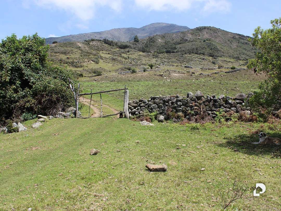 Finca en Cacute Alto, Cacute – 43