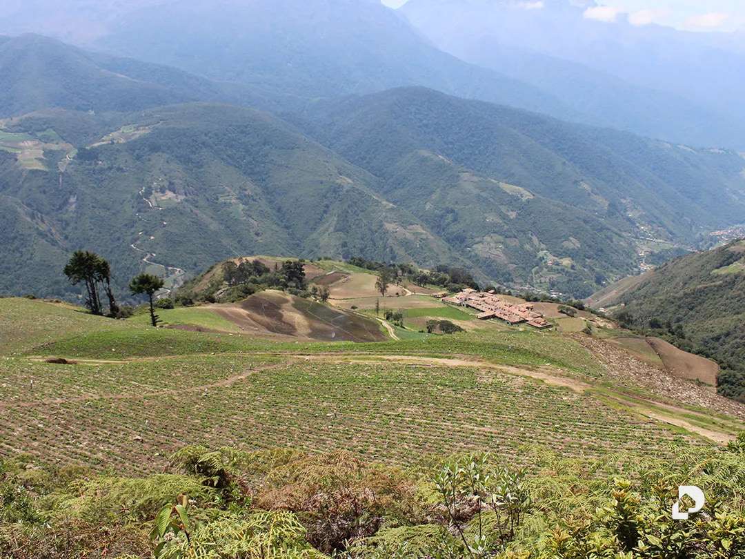 Finca en Cacute Alto, Cacute – 34