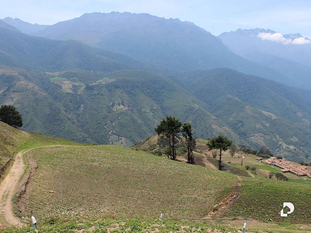 Finca en Cacute Alto, Cacute – 24