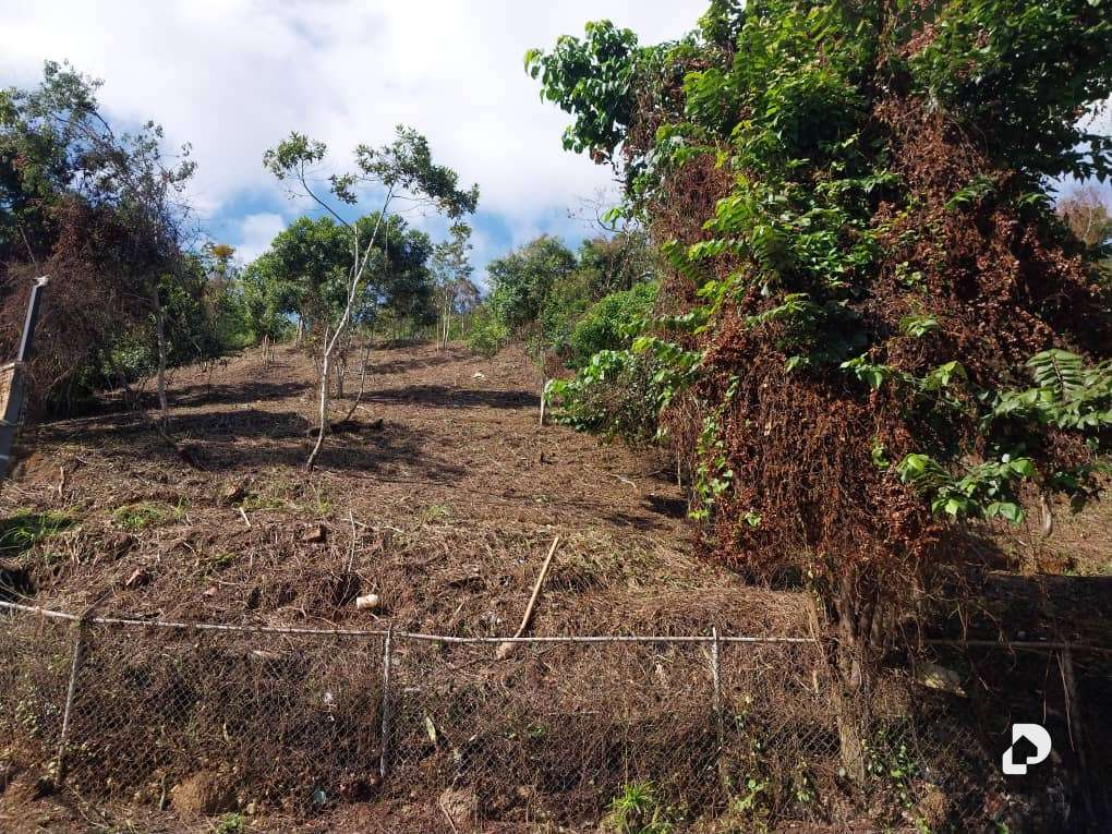 Land in Sorocaima, Caracas – 10
