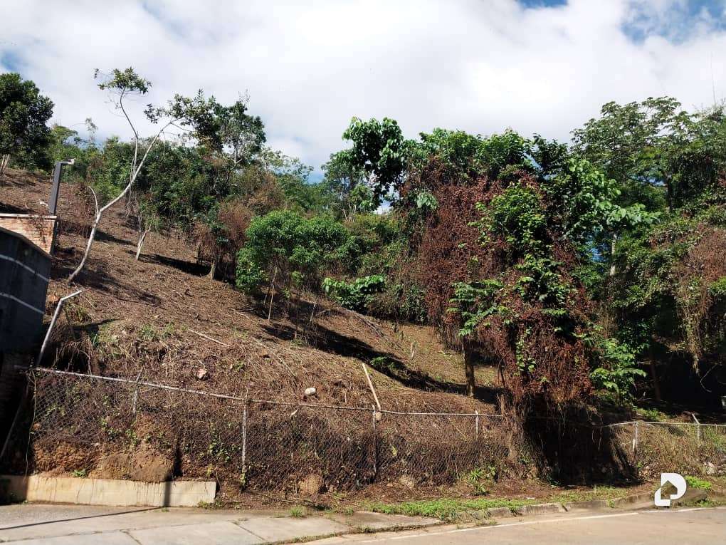 Land in Sorocaima, Caracas – 4