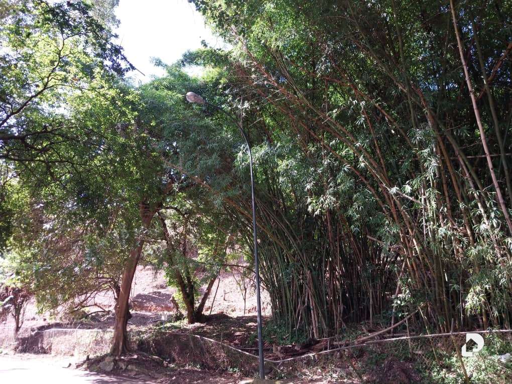 Land in Sorocaima, Caracas – 5
