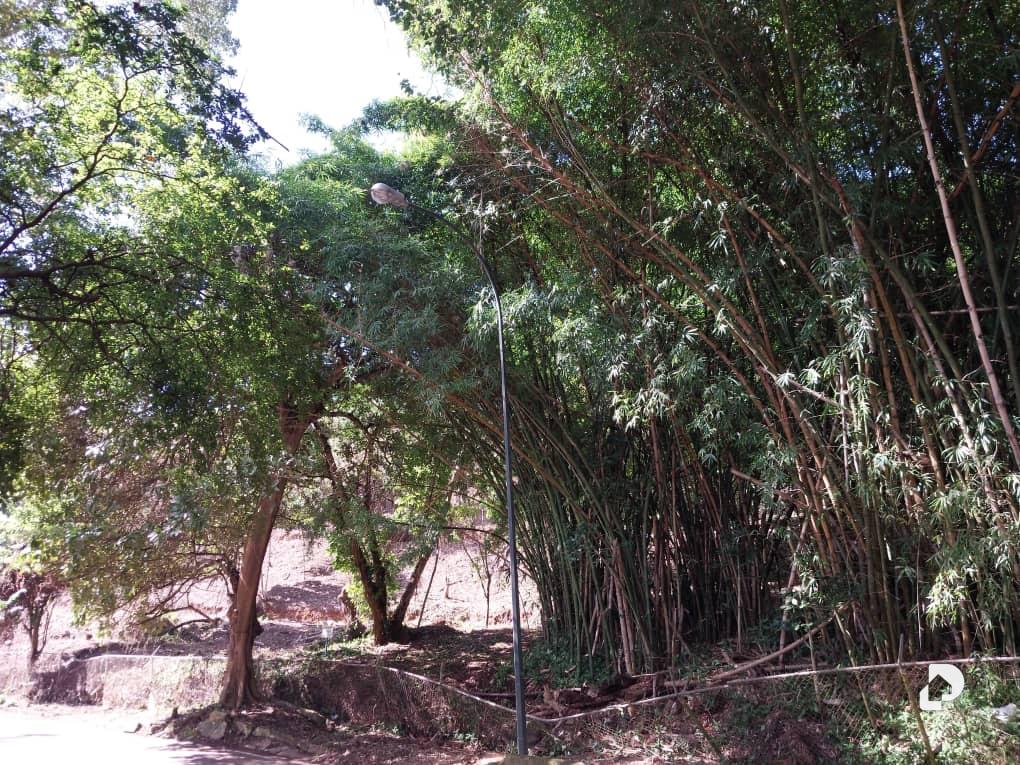 Land in Sorocaima, Caracas – 5