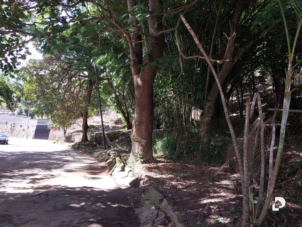 Land in Sorocaima, Caracas – 2