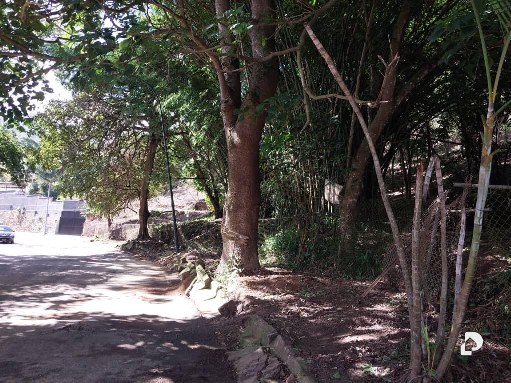 Land in Sorocaima, Caracas – 2