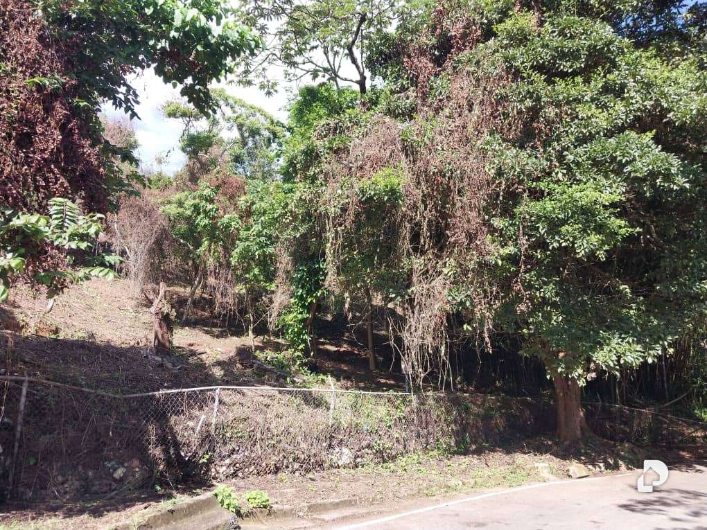 Land in Sorocaima, Caracas – 8