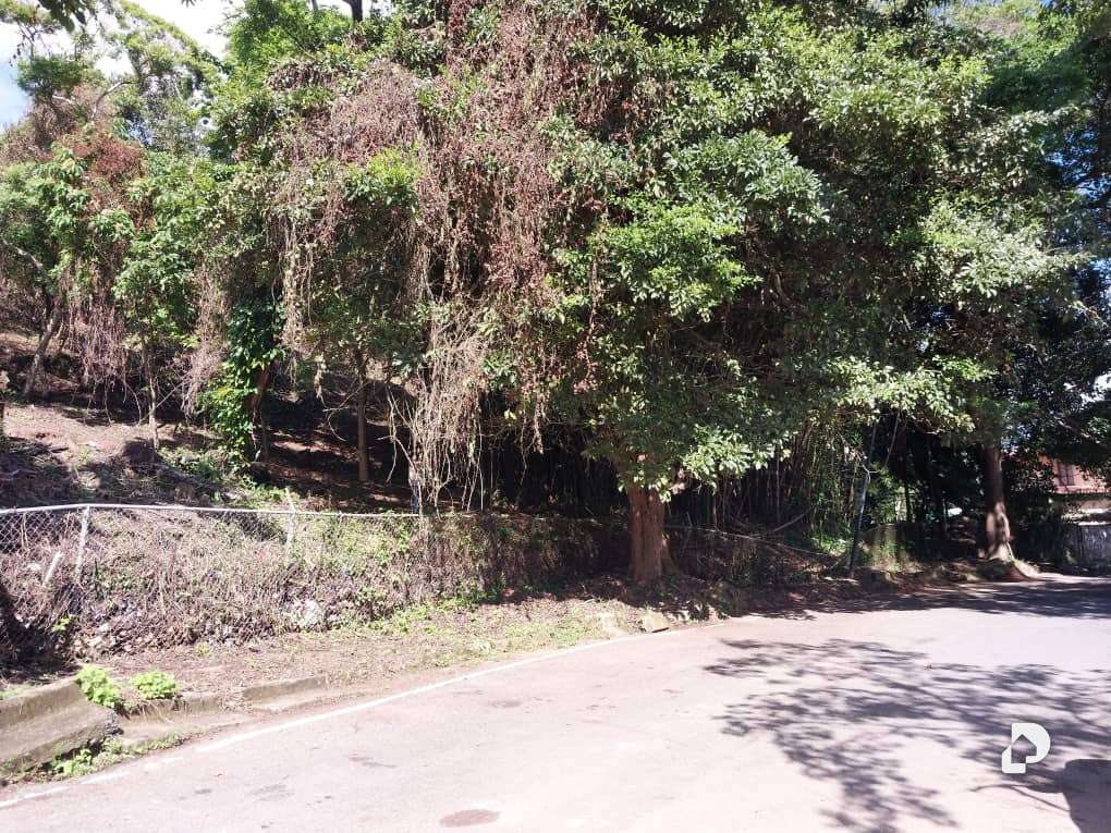 Land in Sorocaima, Caracas – 6