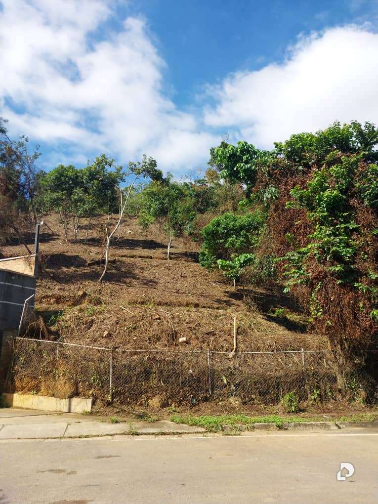 Land in Sorocaima, Caracas – 7