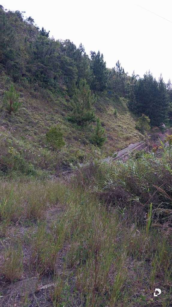 Terreno en La Trinidad, Caracas – 18