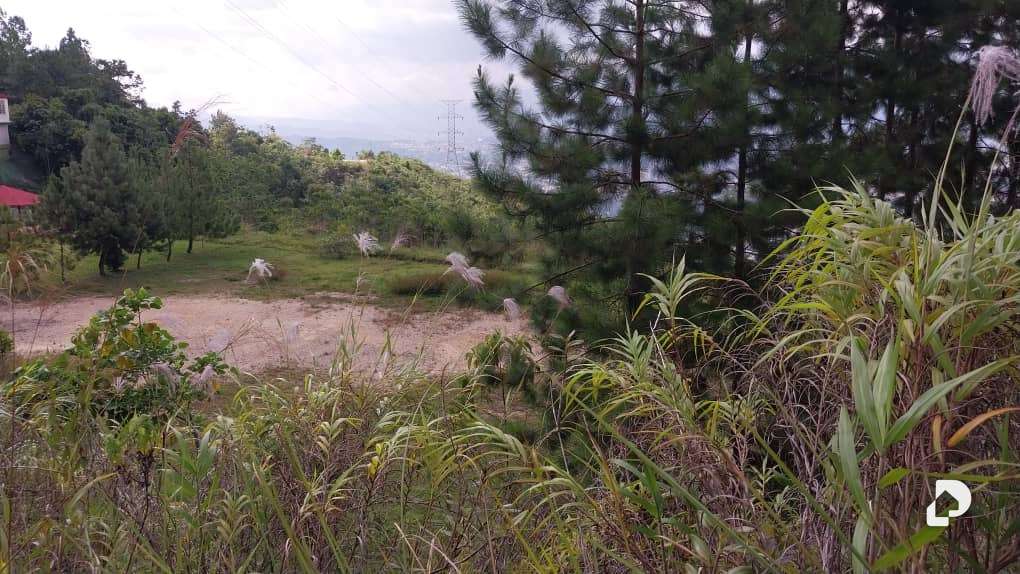 Terreno en La Trinidad, Caracas – 22