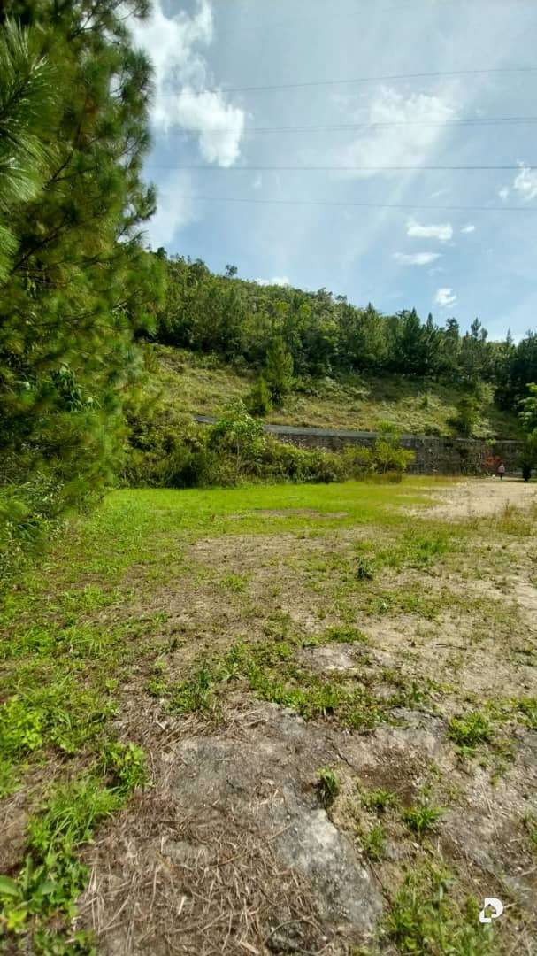 Terreno en La Trinidad, Caracas – 15