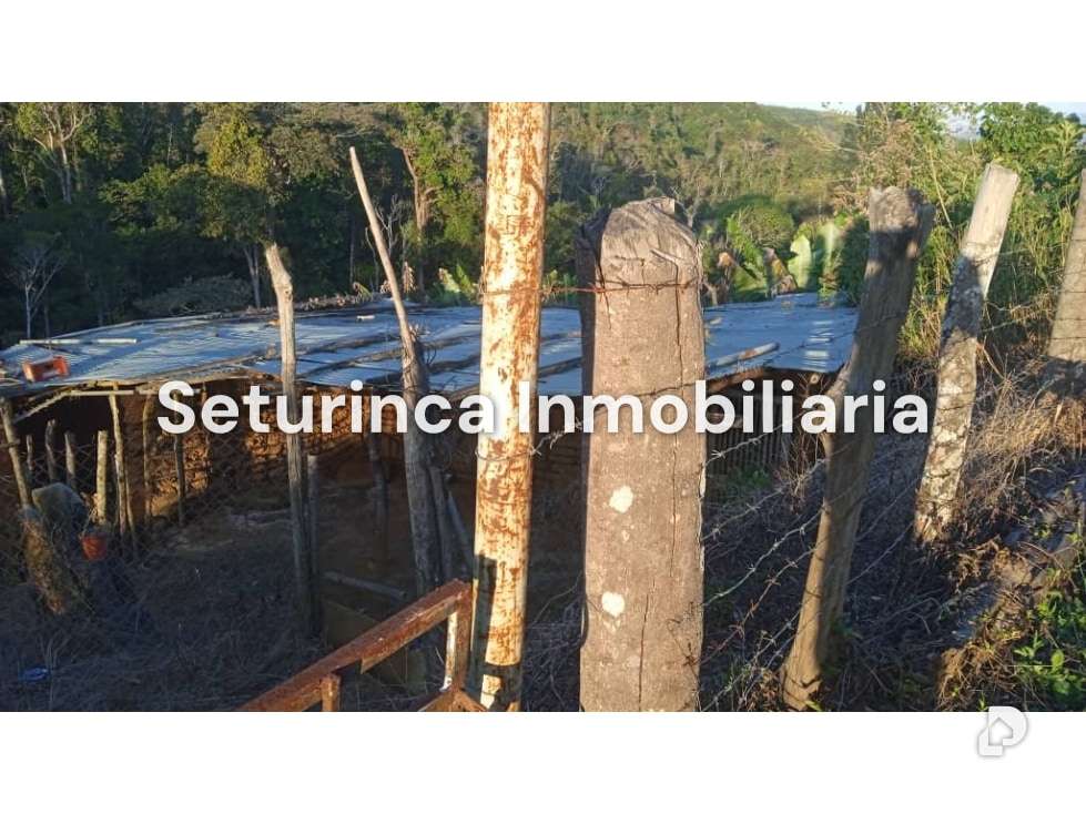 Terreno en El Junquito, Caracas – 8