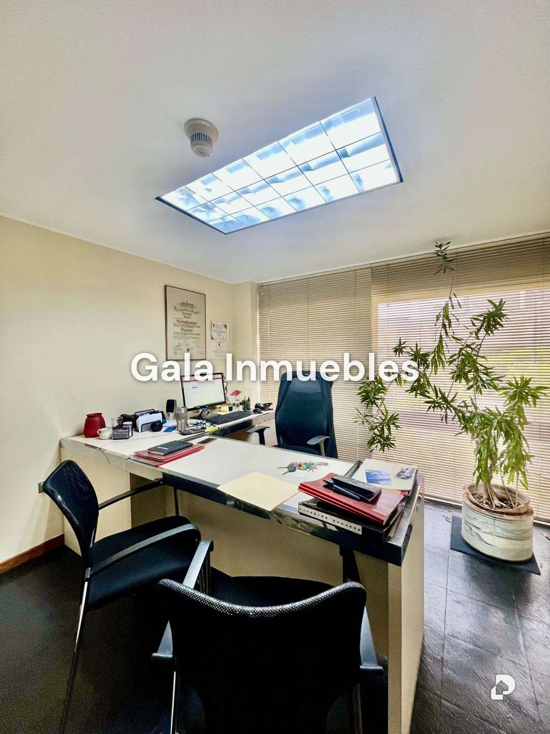 Office in Parque Humboldt, Caracas – 3